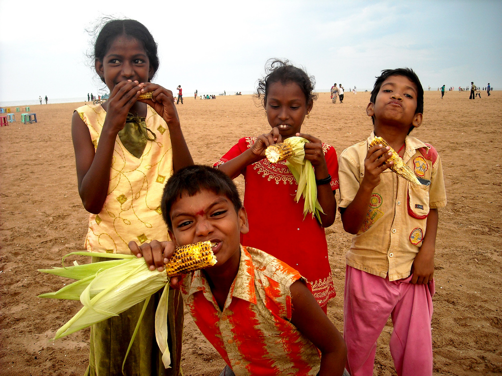 5016473996_57c90119aa_b_corn-cob