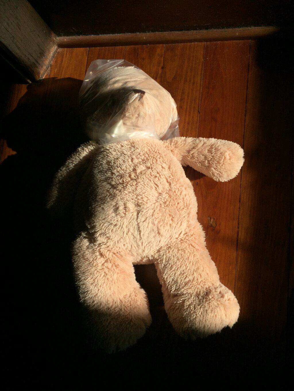 Dead Teddy Bear