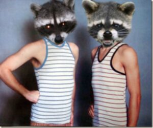 Raccoon Face Freaks
