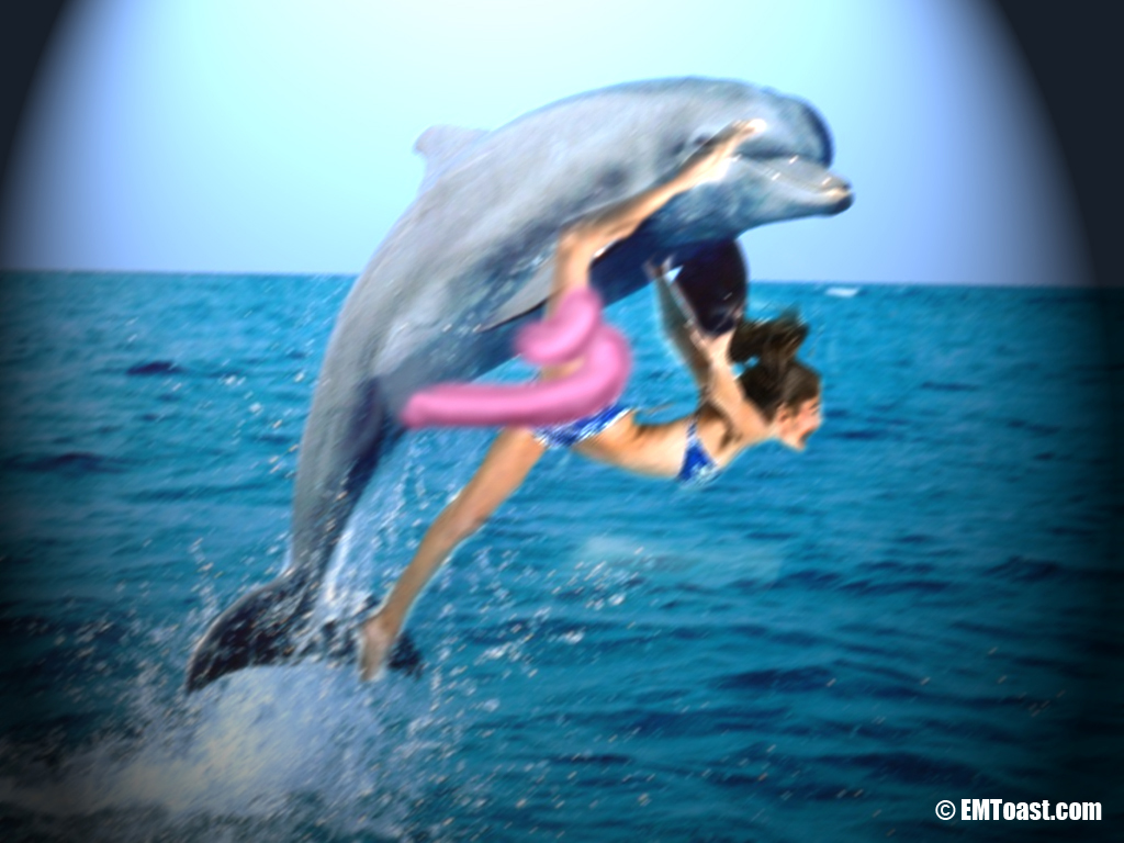 daolphin caught raping