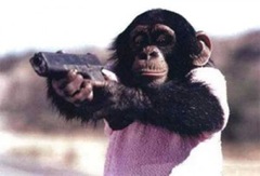 monkey-gun-300x204-thumb.jpg